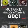 Tefal Powelix Activflow OntheGo Kırmızı 1500 W Blender Seti Tefal Powelix Activflow OntheGo Kırmızı 1500 W Blender Seti